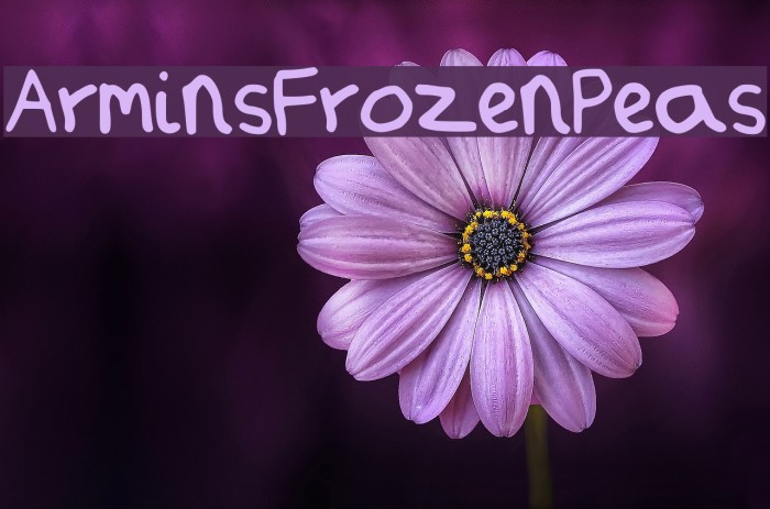 ArminsFrozenPeas Font examples