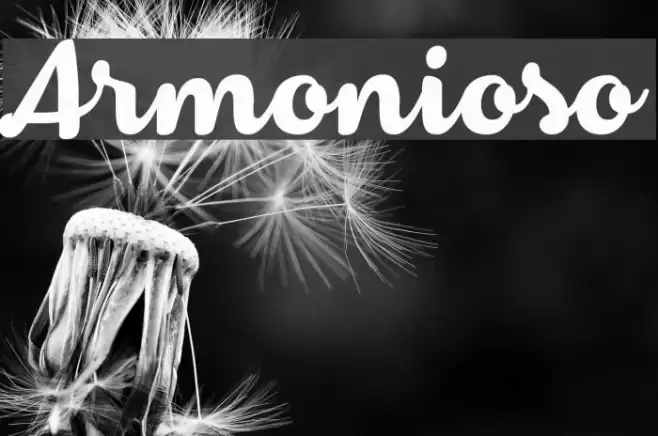 Armonioso Font examples