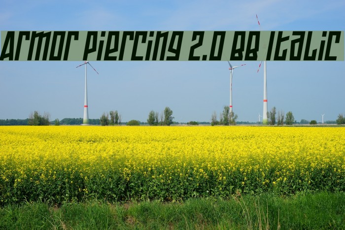Armor Piercing 2.0 BB Italic フォント examples
