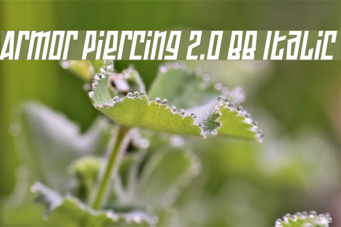 Armor Piercing 2.0 BB Italic フォント examples