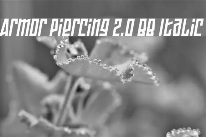 Armor Piercing 2.0 BB Italic Font examples
