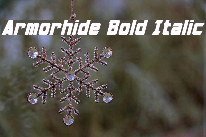 Armorhide Bold Italic Font examples