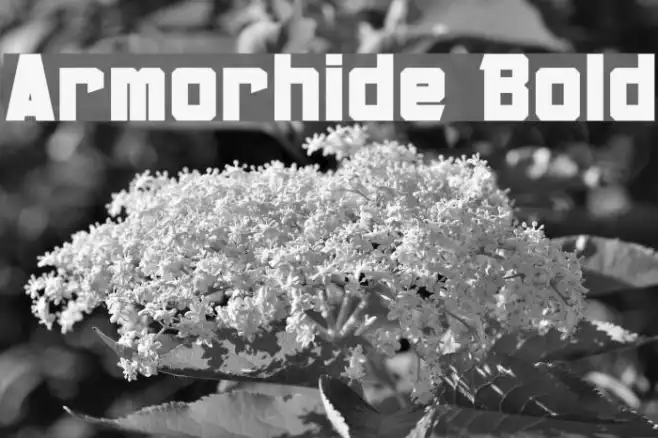 Armorhide Bold Example 3