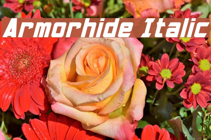 Armorhide Italic Font examples