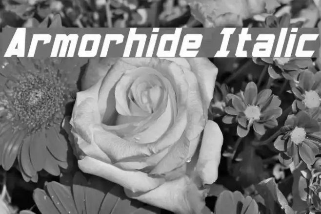 Armorhide Italic Example 1