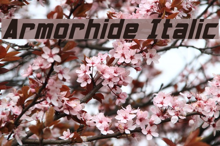 Armorhide Italic Font examples
