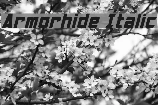 Armorhide Italic Example 2