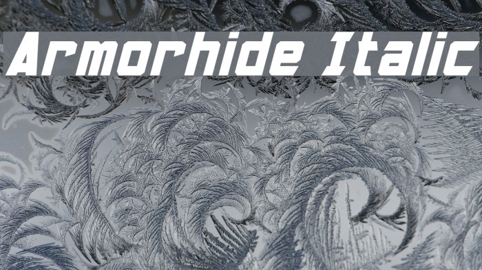 Armorhide Italic Font examples