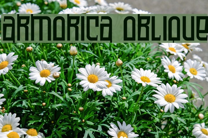 Armorica Oblique Font examples