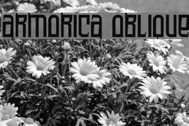 Armorica Oblique Шрифта examples