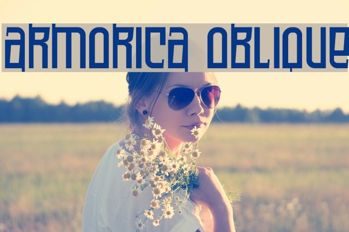 Armorica Oblique Font examples