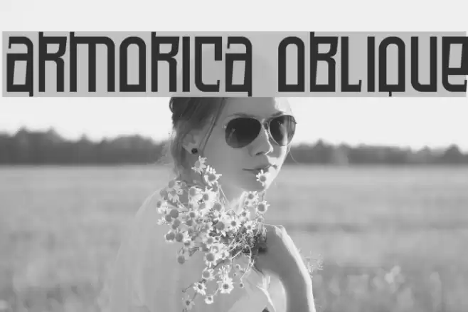 Armorica Oblique Шрифта examples