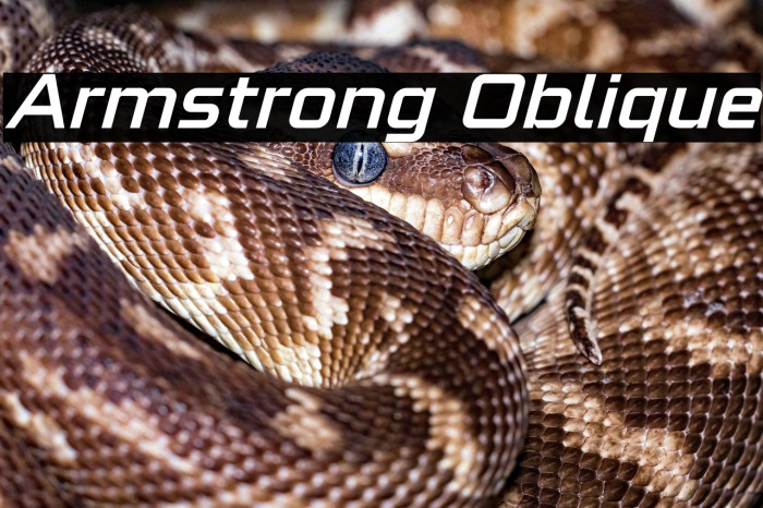 Armstrong Oblique Example 2