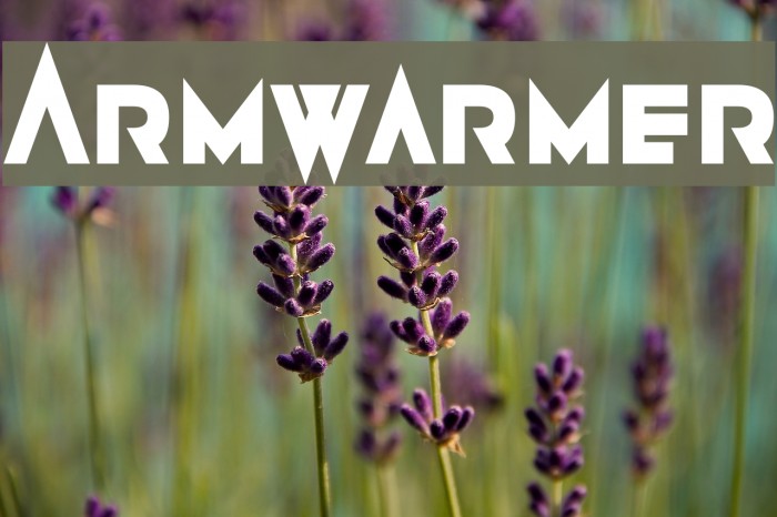 Armwarmer Font examples
