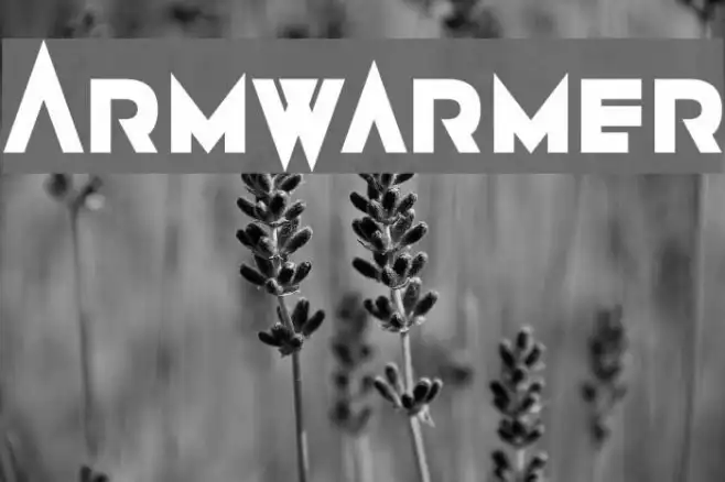 Armwarmer Example 3