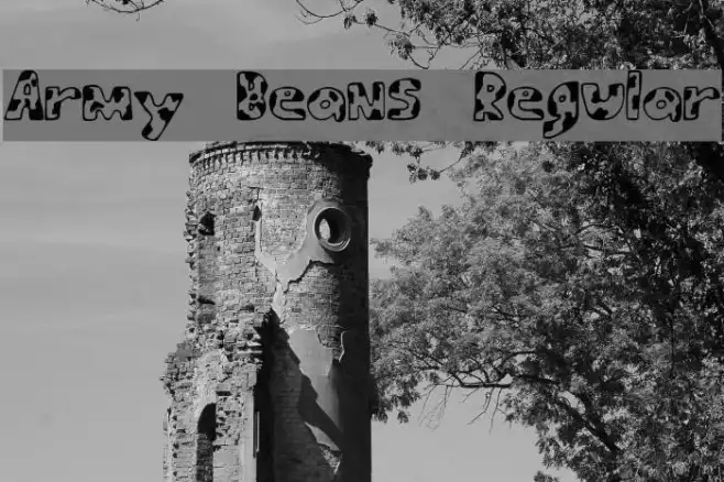 Army Beans Regular Example 1