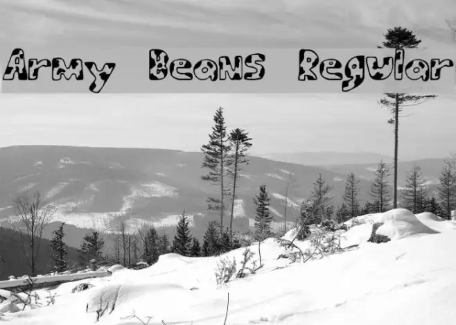Army Beans Regular Example 2