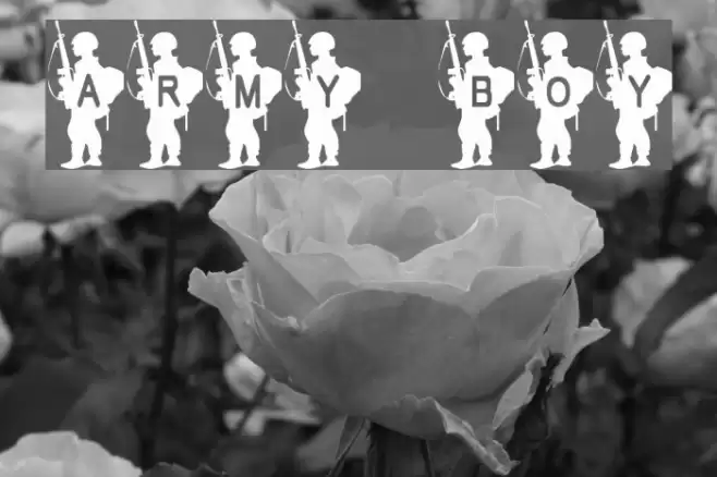 Army Boy Font examples