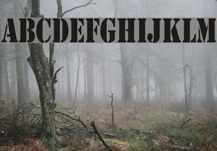 Army Condensed Font examples