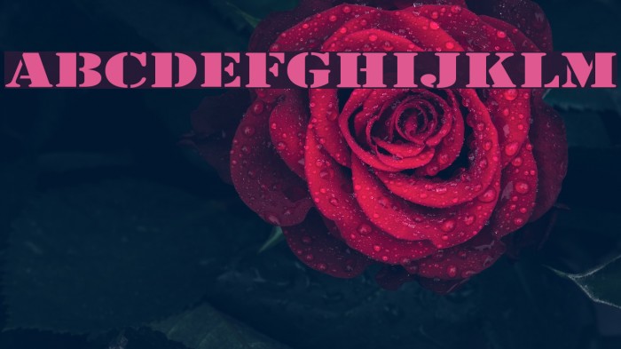Army Expanded Font examples