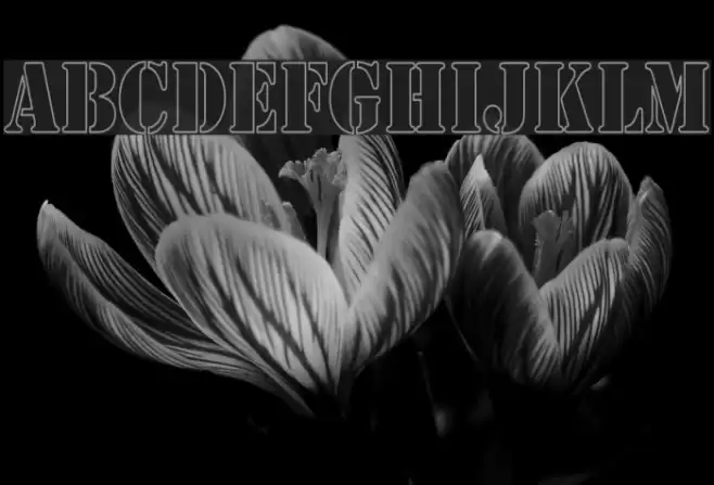 Army Hollow Thin Font examples