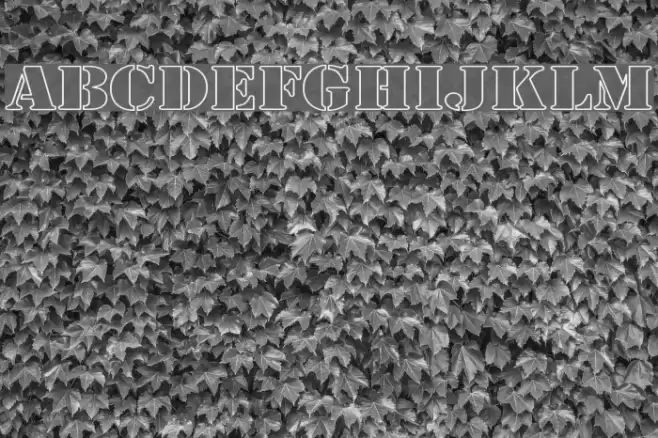 Army Hollow Wide Schriftart examples