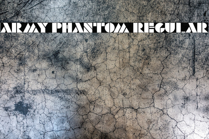 Army Phantom Regular Example 1