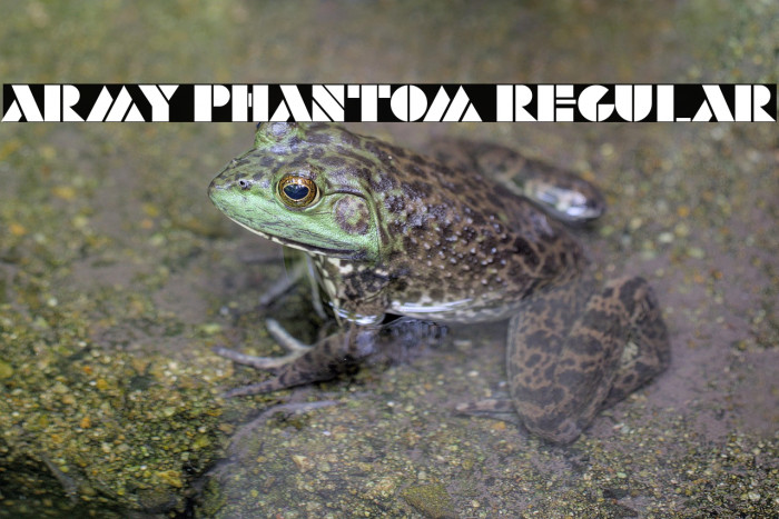 Army Phantom Regular Example 2
