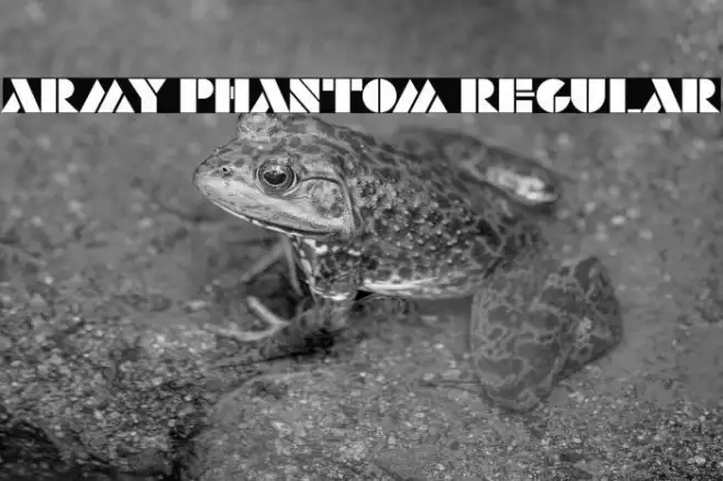 Army Phantom Regular Example 2