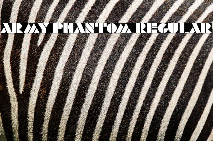 Army Phantom Regular Example 3