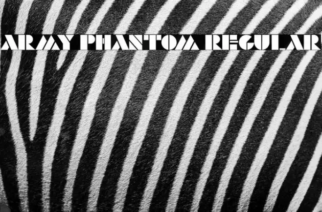 Army Phantom Regular Example 3