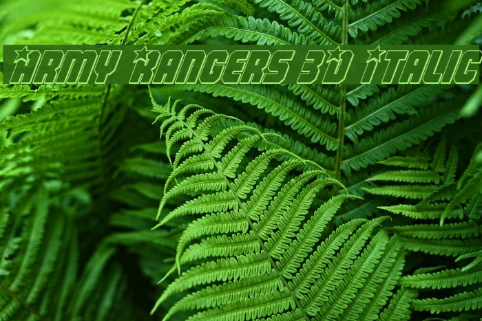Army Rangers 3D Italic Font examples