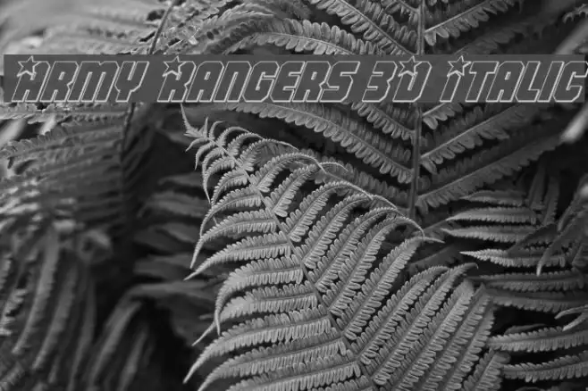 Army Rangers 3D Italic Example 2
