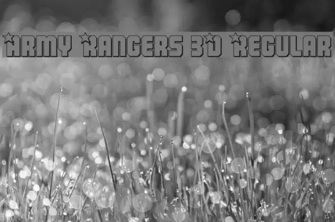 Army Rangers 3D Regular Font examples
