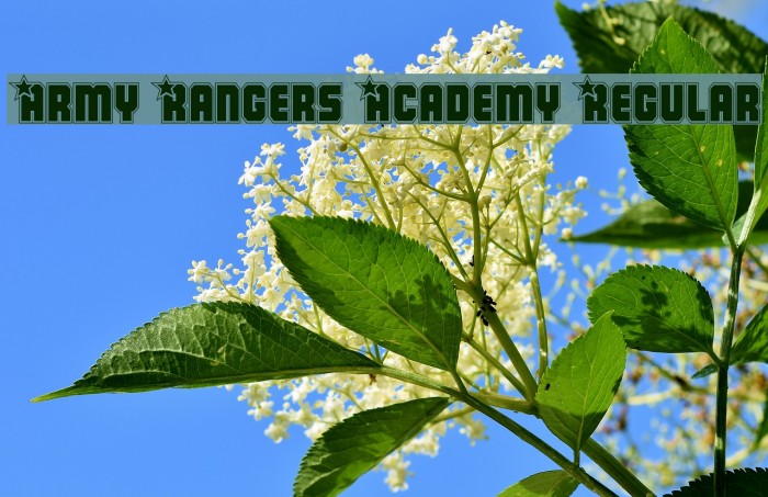 Army Rangers Academy Regular Font examples