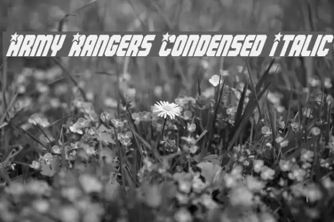 Army Rangers Condensed Italic Font examples