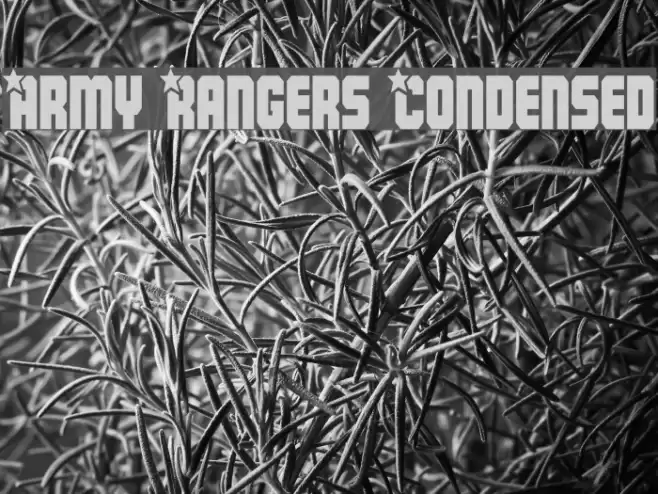 Army Rangers Condensed Font examples