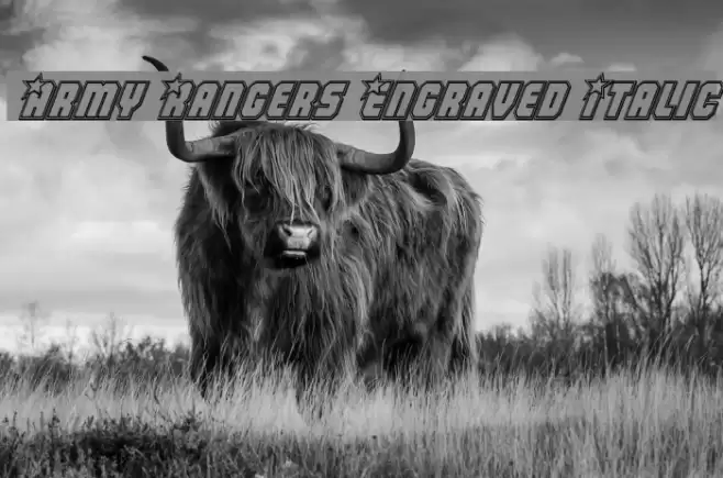 Army Rangers Engraved Italic Font examples