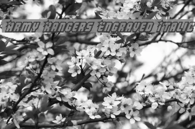 Army Rangers Engraved Italic Font examples
