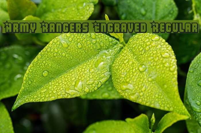 Army Rangers Engraved Regular Font examples