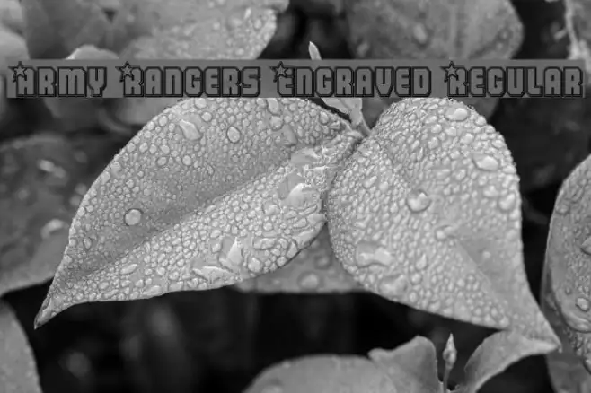 Army Rangers Engraved Regular Example 3