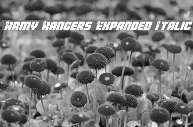 Army Rangers Expanded Italic Font examples