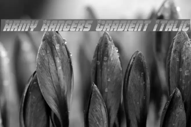 Army Rangers Gradient Italic Font examples