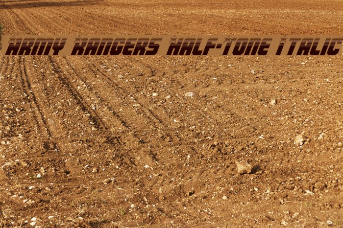 Army Rangers Half-Tone Italic Font examples
