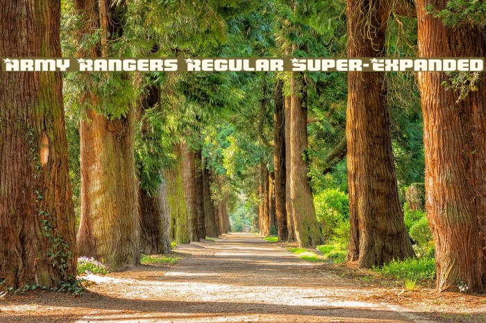 Army Rangers Regular Super-Expanded Font examples