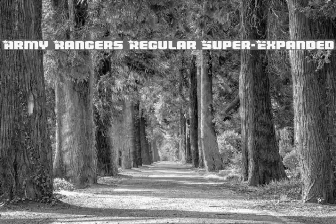 Army Rangers Regular Super-Expanded Example 2