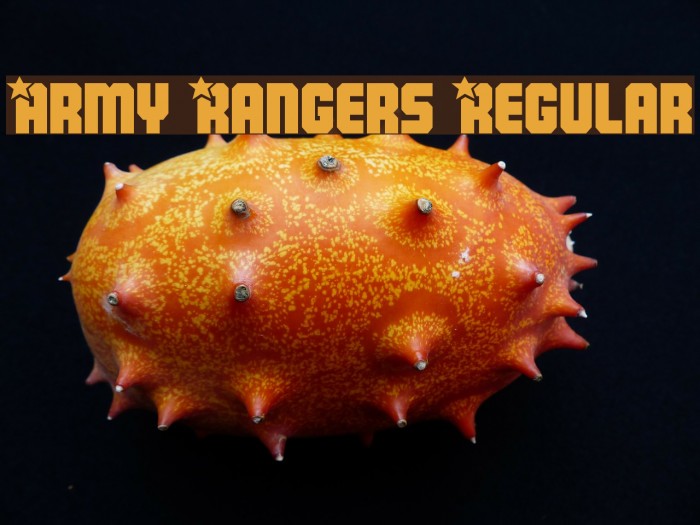 Army Rangers Regular Font examples