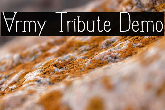 Army Tribute Demo Example 2