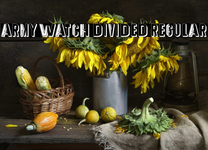 Army Watch Divided Regular Example 3