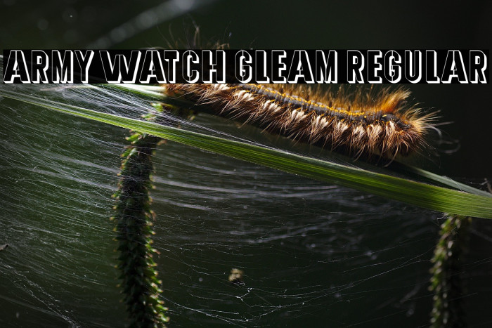 Army Watch Gleam Regular Example 1